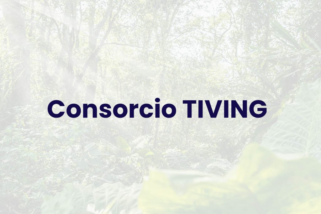 Consorcio TIVING - Estudios de Amenaza, Vulnerabilidad y Riesgo