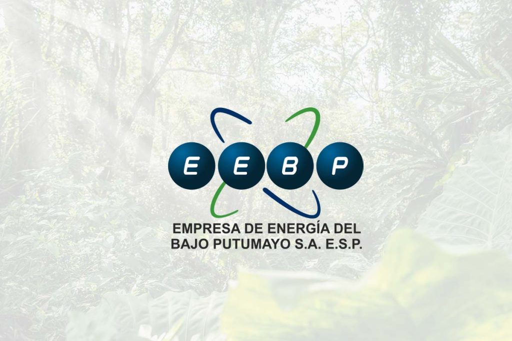 Empresa de Energía del Bajo Putumayo  - Sector Eléctrico