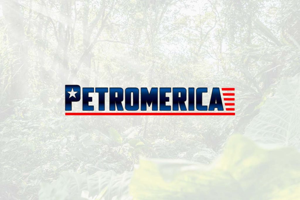 Petroamérica - Otros Estudios y Proyectos