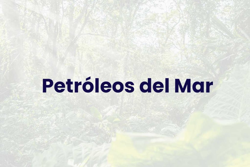 Petróleos del Mar - Sector Hidrocarburos
