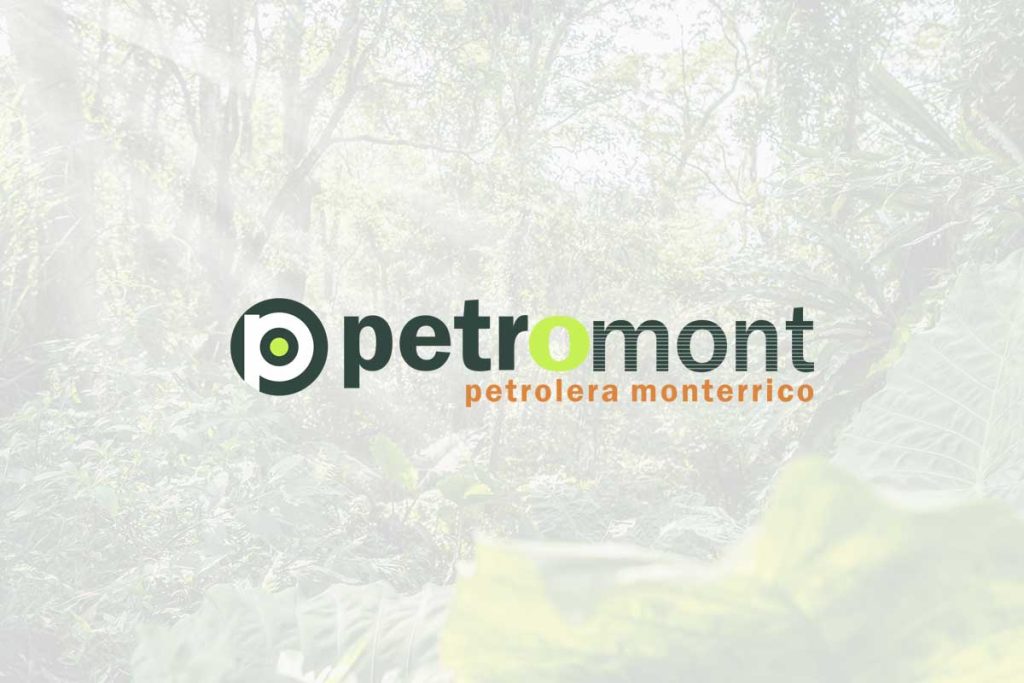 Petrolera Monterrico - Sector Hidrocarburos