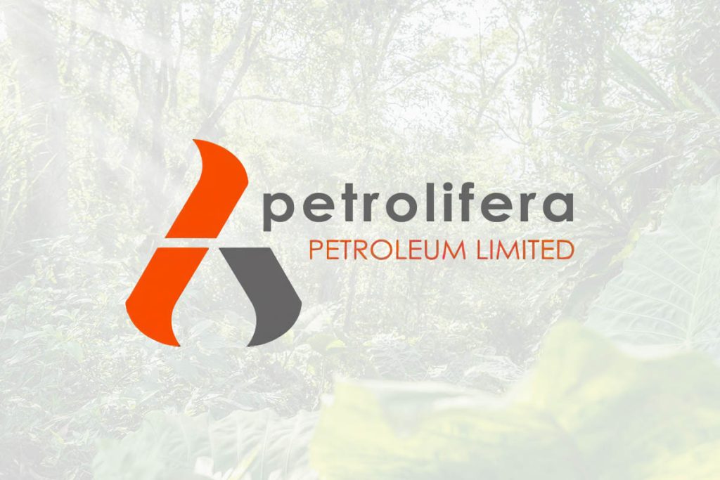 Petrolifera Petroleum - Interventoría Ambiental y Supervisión HSE