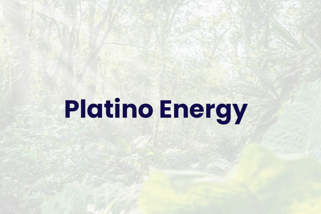 Platino Energy - Interventoría Ambiental y Supervisión HSE