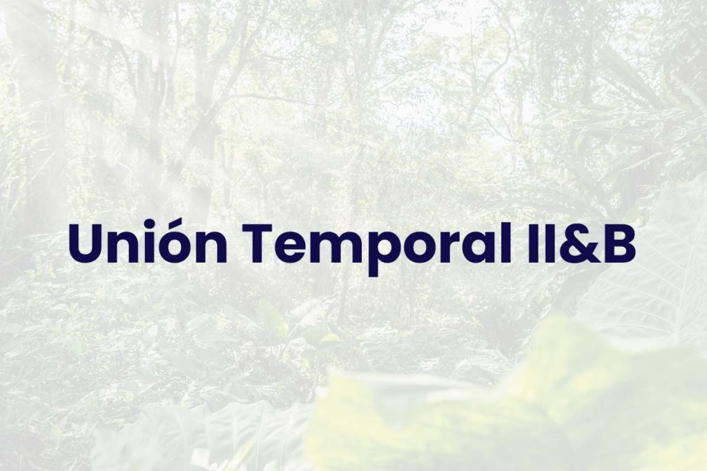 Unión Temporal II&B - Obras Civiles y Ambientales