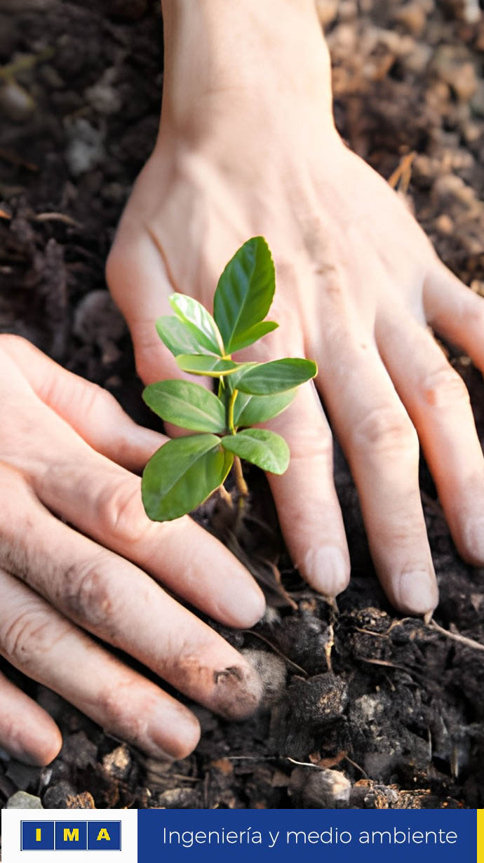 cambio-climatico-y-energias-renovables