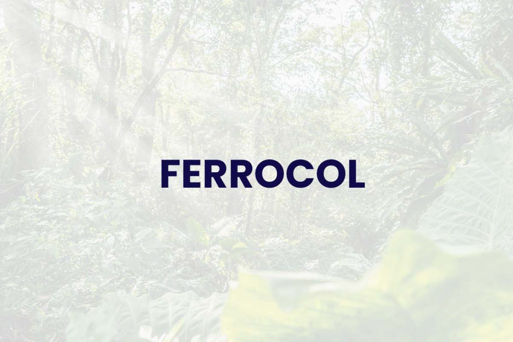 Consorcio Ferrocol - Sector Forestal