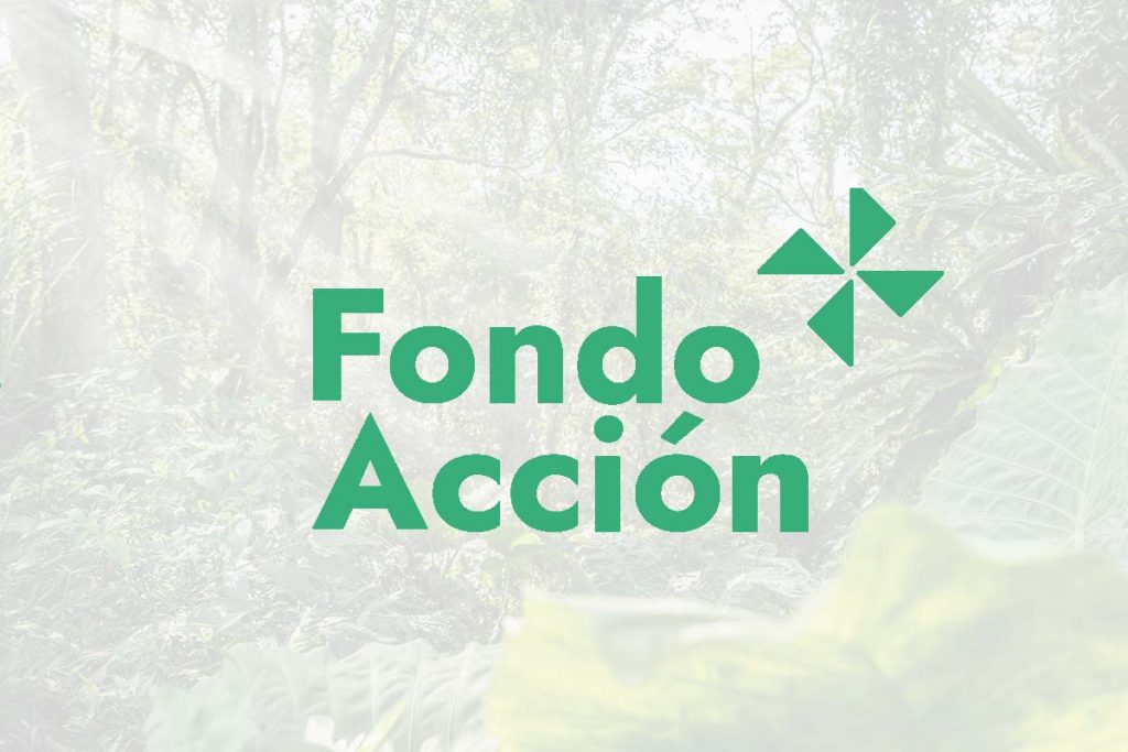 Fondo para la Acción Ambiental y la Niñez  - Sector Forestal