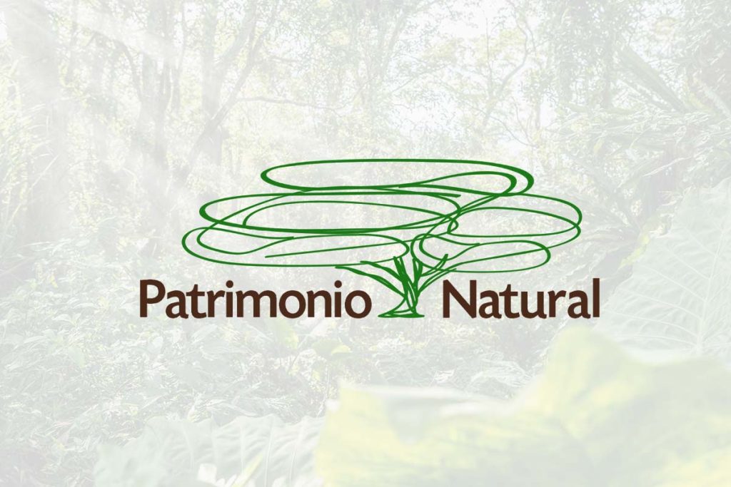 Patrimonio Natural Fondo para la Biodiversidad y Áreas Protegidas - Sector Forestal