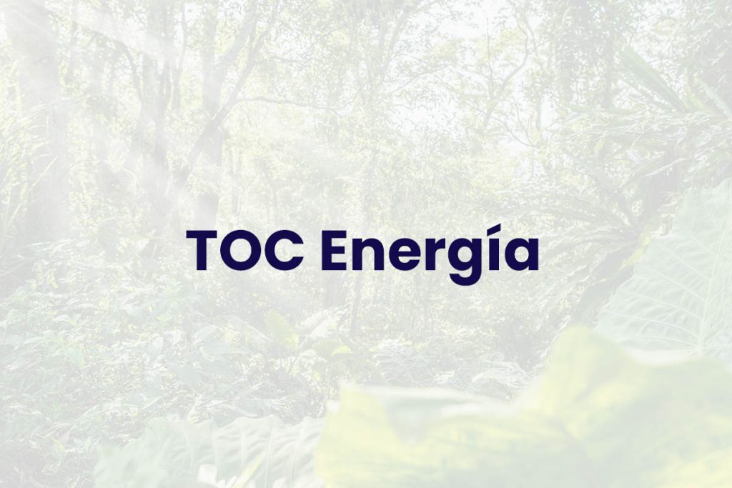 TOC Energía - Planes de Manejo Ambiental