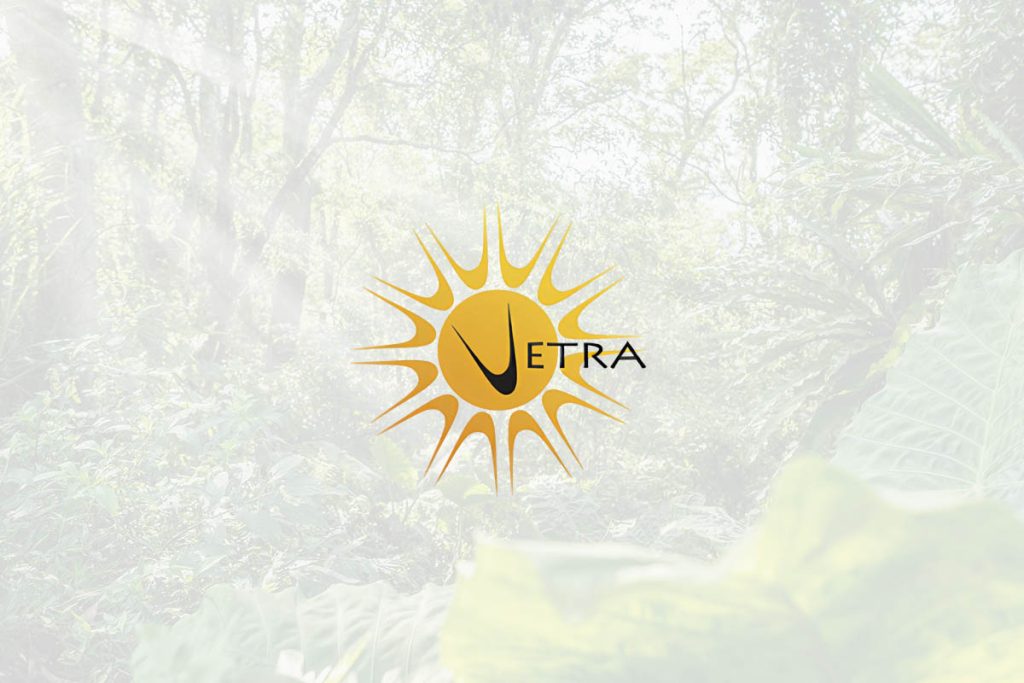 VETRA Exploración y Producción - Otros Estudios y Proyectos