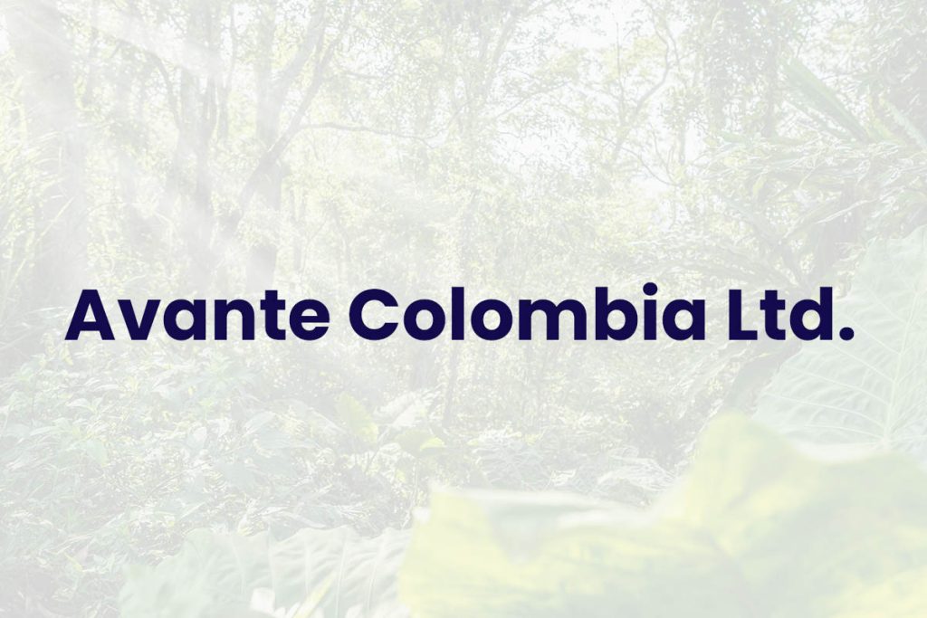 Avante Colombia Ltd. - Otros Estudios y Proyectos