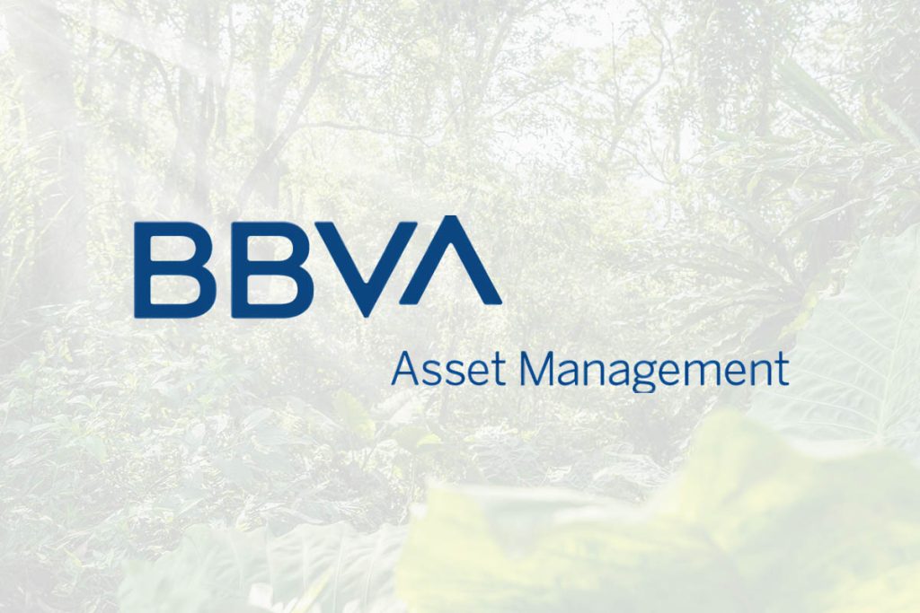 BBVA Asset Management S.A. – Otros Estudios y Proyectos