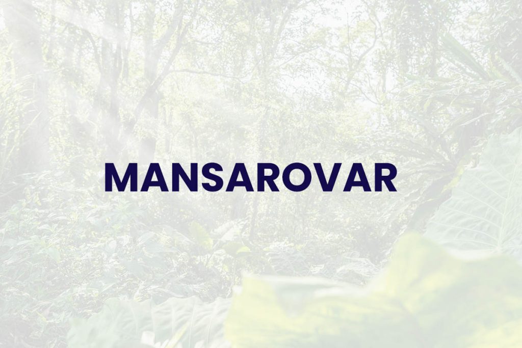 MANSAROVAR - Estudios Sociales – Estudios Arqueológicos