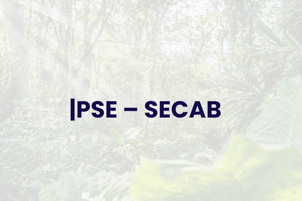 |PSE – SECAB - Obras Civiles y Ambientales